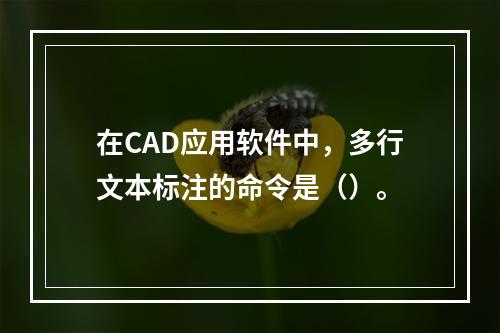 在CAD应用软件中，多行文本标注的命令是（）。