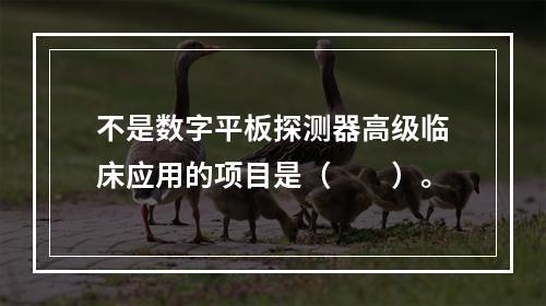 不是数字平板探测器高级临床应用的项目是（　　）。