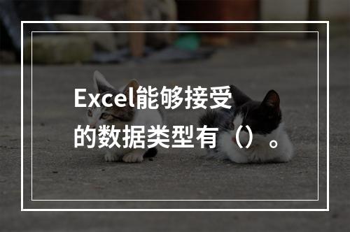 Excel能够接受的数据类型有（）。