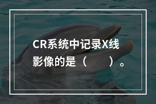 CR系统中记录X线影像的是（　　）。