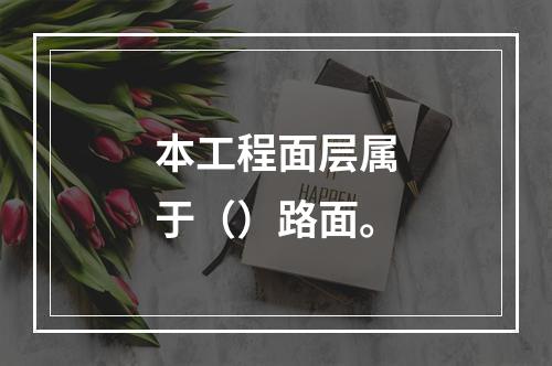 本工程面层属于（）路面。