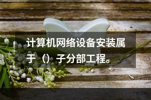 计算机网络设备安装属于（）子分部工程。