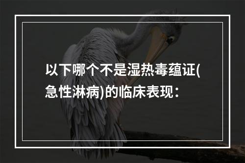 以下哪个不是湿热毒蕴证(急性淋病)的临床表现：