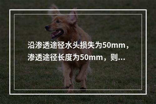 沿渗透途径水头损失为50mm，渗透途径长度为50mm，则据此