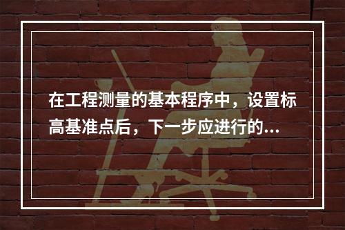 在工程测量的基本程序中，设置标高基准点后，下一步应进行的程序