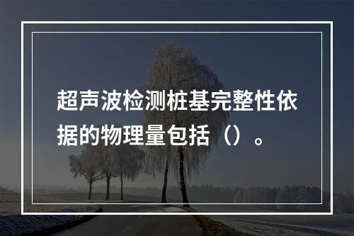 超声波检测桩基完整性依据的物理量包括（）。