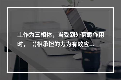 土作为三相体，当受到外荷载作用时，（)相承担的力为有效应力。