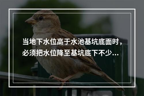 当地下水位高于水池基坑底面时，必须把水位降至基坑底下不少于（