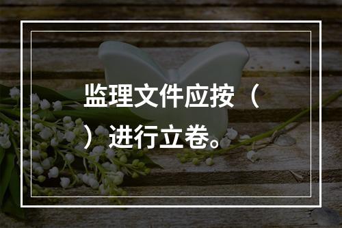 监理文件应按（）进行立卷。