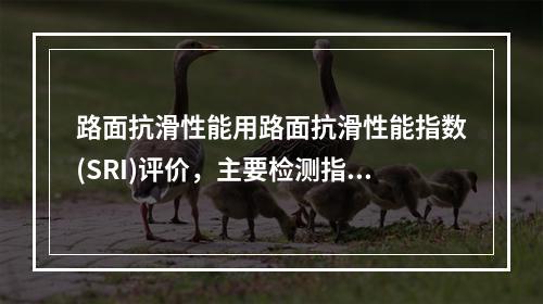 路面抗滑性能用路面抗滑性能指数(SRI)评价，主要检测指标为