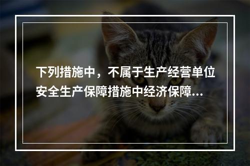 下列措施中，不属于生产经营单位安全生产保障措施中经济保障措施