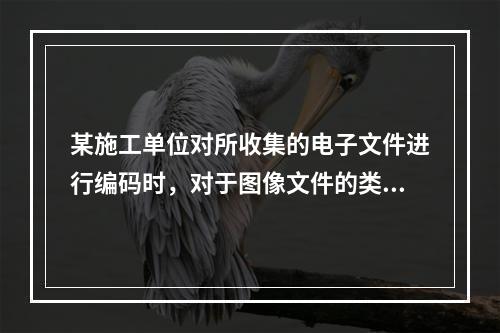 某施工单位对所收集的电子文件进行编码时，对于图像文件的类别代