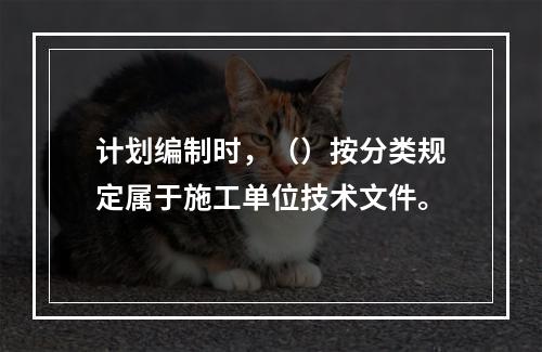 计划编制时，（）按分类规定属于施工单位技术文件。