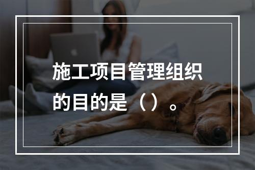 施工项目管理组织的目的是（ ）。