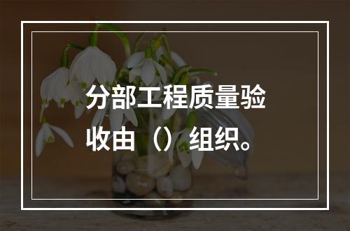 分部工程质量验收由（）组织。