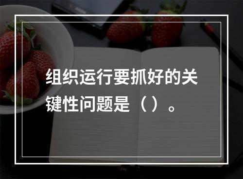 组织运行要抓好的关键性问题是（ ）。