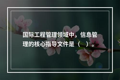 国际工程管理领域中，信息管理的核心指导文件是（　）。