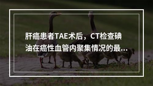 肝癌患者TAE术后，CT检查碘油在癌性血管内聚集情况的最佳时