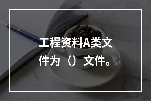 工程资料A类文件为（）文件。