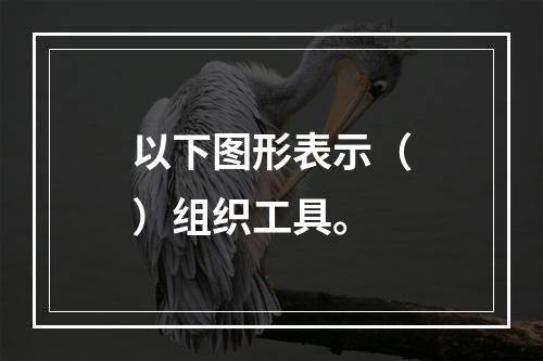 以下图形表示（）组织工具。