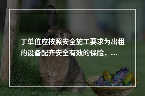 丁单位应按照安全施工要求为出租的设备配齐安全有效的保险，限位