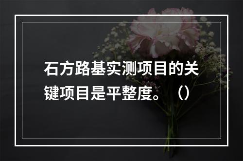 石方路基实测项目的关键项目是平整度。（）