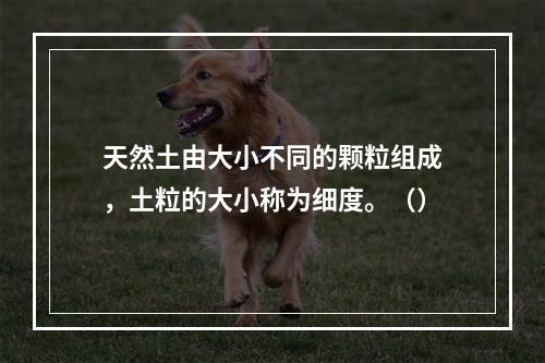 天然土由大小不同的颗粒组成，土粒的大小称为细度。（）