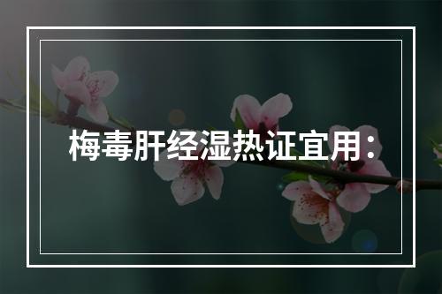 梅毒肝经湿热证宜用：