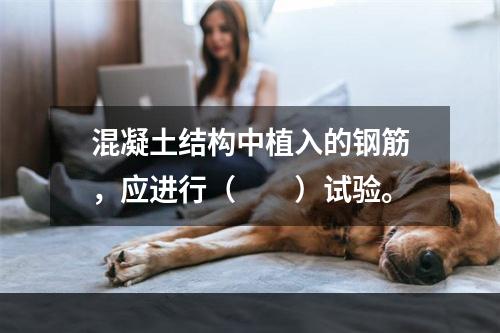 混凝土结构中植入的钢筋，应进行（　　）试验。