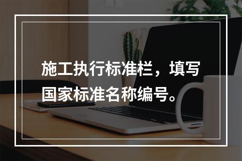 施工执行标准栏，填写国家标准名称编号。