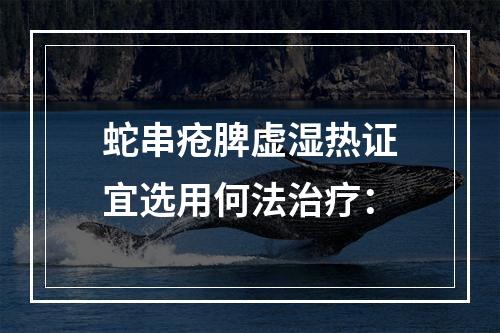 蛇串疮脾虚湿热证宜选用何法治疗：