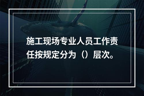 施工现场专业人员工作责任按规定分为（）层次。