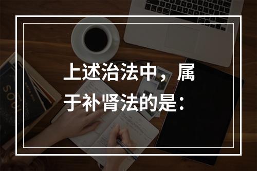 上述治法中，属于补肾法的是：