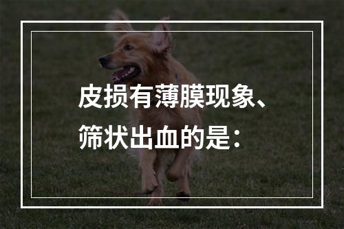 皮损有薄膜现象、筛状出血的是：