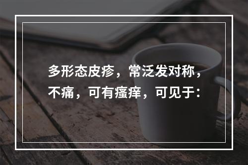 多形态皮疹，常泛发对称，不痛，可有瘙痒，可见于：