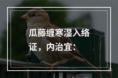 瓜藤缠寒湿入络证，内治宜：