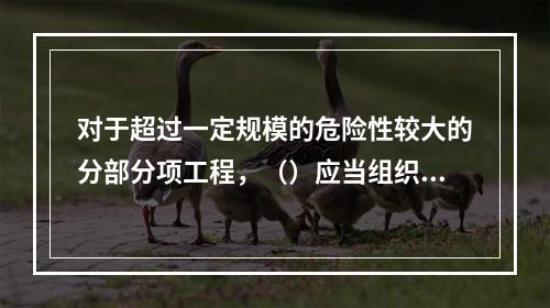 对于超过一定规模的危险性较大的分部分项工程，（）应当组织专家