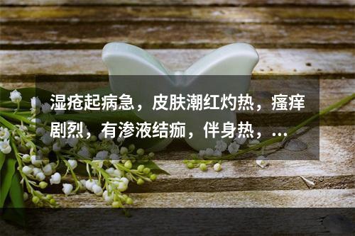 湿疮起病急，皮肤潮红灼热，瘙痒剧烈，有渗液结痂，伴身热，心烦