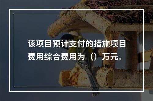 该项目预计支付的措施项目费用综合费用为（）万元。