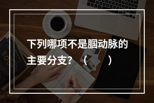 下列哪项不是腘动脉的主要分支？（　　）