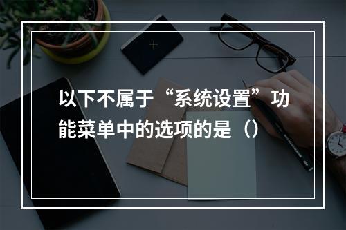 以下不属于“系统设置”功能菜单中的选项的是（）