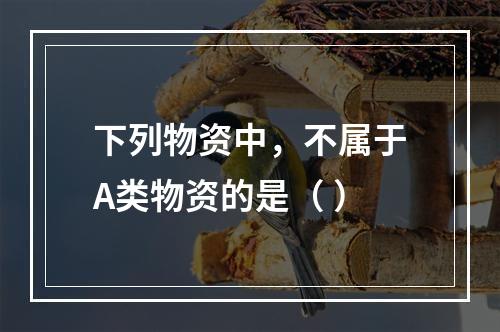 下列物资中，不属于A类物资的是（ ）