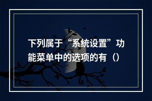 下列属于“系统设置”功能菜单中的选项的有（）