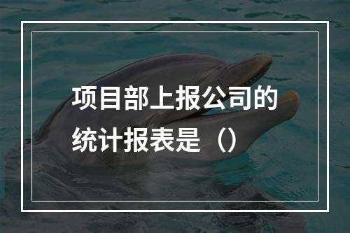 项目部上报公司的统计报表是（）