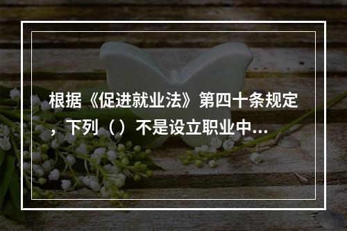 根据《促进就业法》第四十条规定，下列（ ）不是设立职业中介机