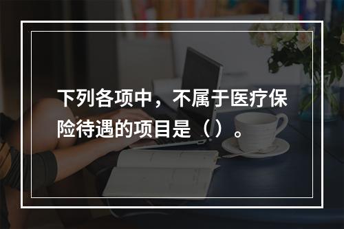 下列各项中，不属于医疗保险待遇的项目是（ ）。