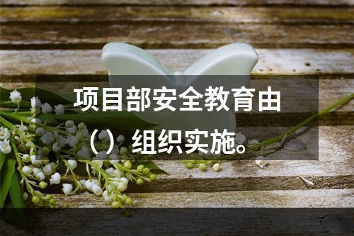 项目部安全教育由（ ）组织实施。