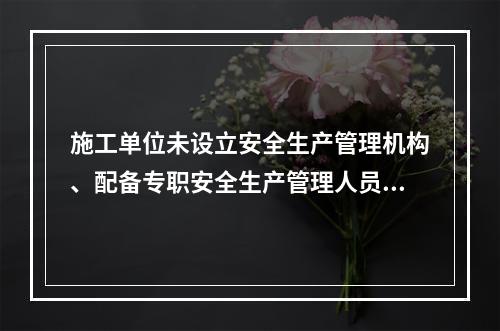 施工单位未设立安全生产管理机构、配备专职安全生产管理人员或者