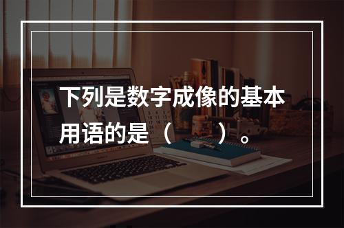 下列是数字成像的基本用语的是（　　）。