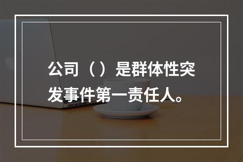 公司（ ）是群体性突发事件第一责任人。